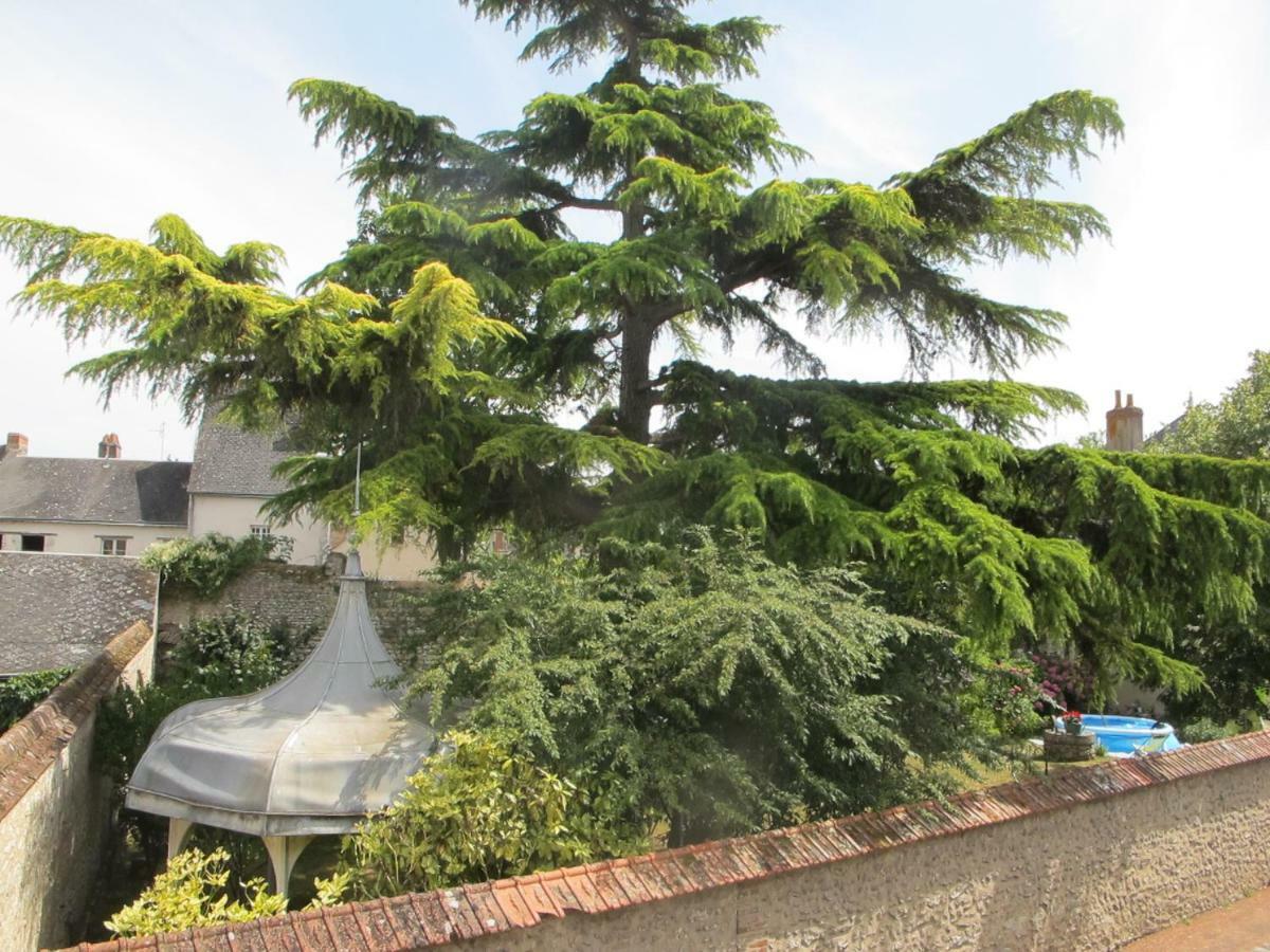 L'Etape Des Chateaux Le 2 Bis เมิง-ซูร์-ลัวร์ ภายนอก รูปภาพ